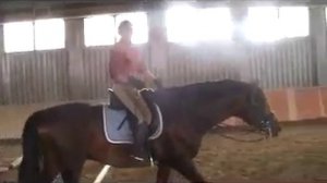 Конный спорт обучение. Мастер-класс Михаил Кизимов. Екатеринбург.