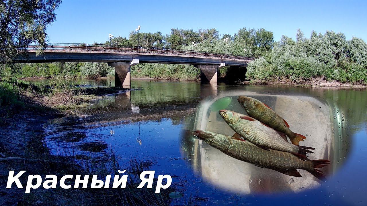 Рыбалка в Самаре. Три хищника на одну блесну!