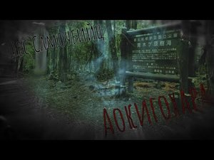 Аокигохара, Лес самоубийц, Страшные истории2.mp4