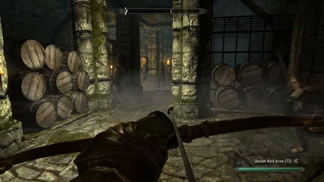 Skyrim - Guard walking into a spiked wall смотреть онлайн