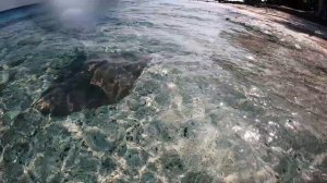 Maldives | Taj Coral Reef Resort & Spa | Beach Villa