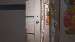 Поставил дверь с магнитным замком.