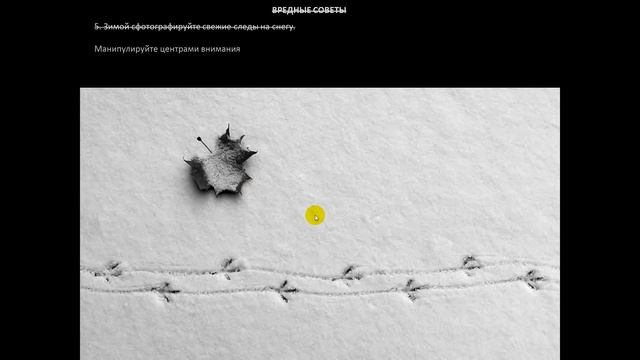 15 ошибок, которые допускают фотографы при съёмке минимализма. Юрий Притиск смотреть онлайн