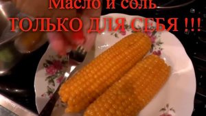 Кукуруза в початках для попугаев.