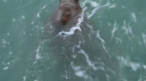 Карское море