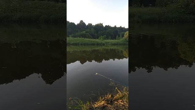 Рыбалка река Пахра . Подольск 24 .06 2021. смотреть онлайн