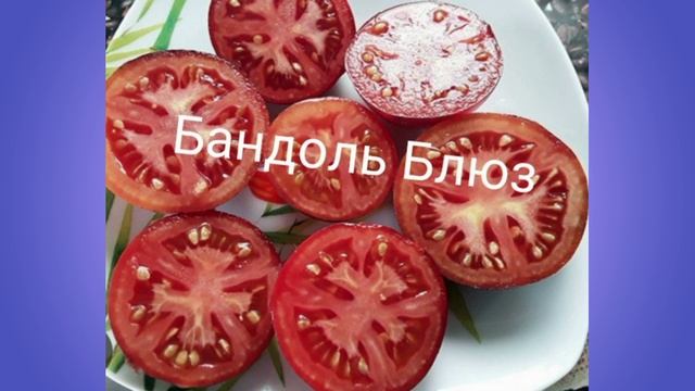 Обзор коллекционных томатов - 12