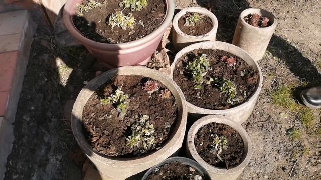 Переехали в Краснодарский край, купили саманный дом, живём 3й год. Юля дома, цветы заросли, я в шок смотреть онлайн