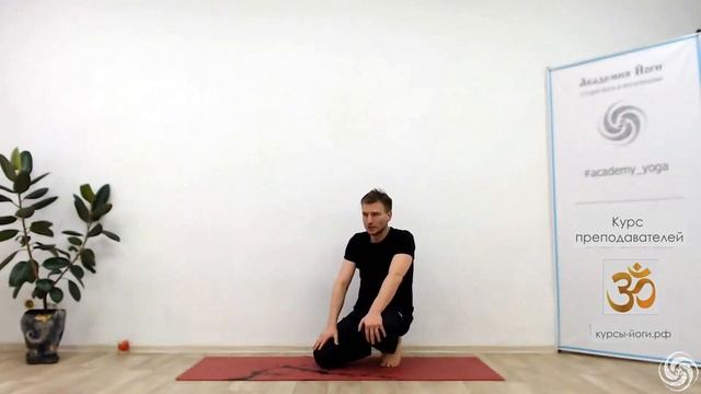 Пинча маюрасана для начинающих и стойка на руках