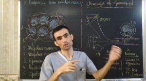 Гистология. Жировая ткань ( белая и бурая). Строение и функции. Норма и патология. #15