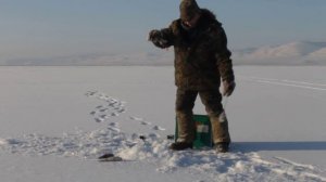 ЗА ОКУНЕМ НА ОЗЕРО ГУСИНОЕ Р.БУРЯТИЯ 01.01.2017 ГОДА