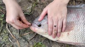 Unbelievable Girl Fishing With Sea Crab To Catch Huge Fish