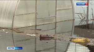 "Вести. Брянск" (эфир 27.04.2022 в 21:05)