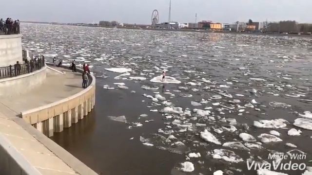 Песенка мамонтенка Благовещенск 2019 год смотреть онлайн