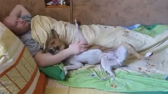 БАССЕНДЖИ жжет