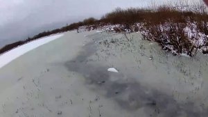 Охота на ондатру мордами, проверка2. Результат.