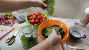 Томаты с виноградными листьями