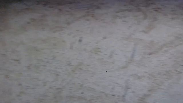 Утепление лоджии, нанесение короеда.