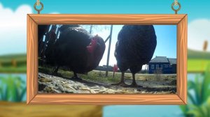 Что ЕДЯТ животные? Кто Что Ест? Развивающее видео для детей