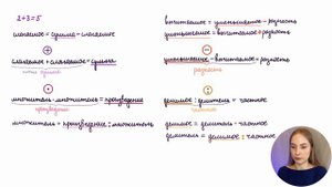 Математика – Компоненты действий – как называются и как находятся?