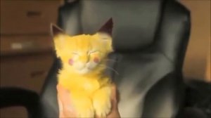 Котенок Пикачу/ Pikachu Kat