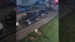 Зачем нужны такие ворота?