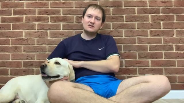 Почему родители не разрешают детям заводить лабрадора смотреть онлайн