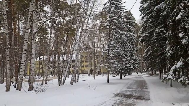 Дом Отдыха Васильевский 25.11.23 г смотреть онлайн