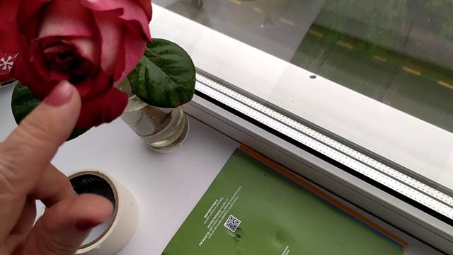 Роза. смотреть онлайн