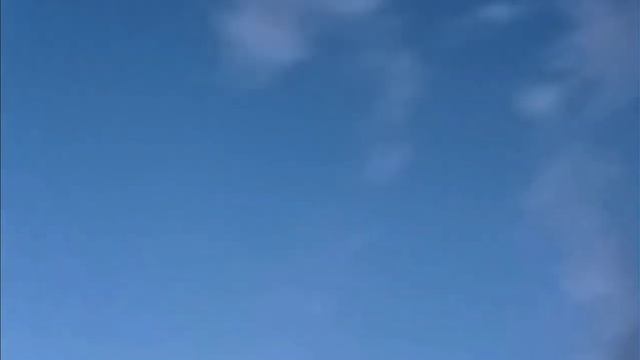 Летучие мыши в городе смотреть онлайн