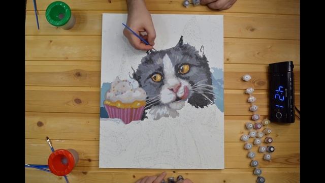 Картина по номерам / ВЕСЬ ПРОЦЕСС / Paint by numbers DIY смотреть онлайн