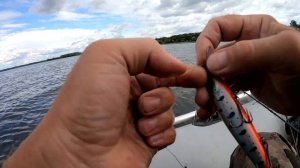 Твичинг воблеров.  Воблер на щуку. ALLBLUE Jinbe110SP . Воблер с AliExpress