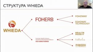 Новая сетевая компания Whieda. Что за компания МЛМ бизнеса?