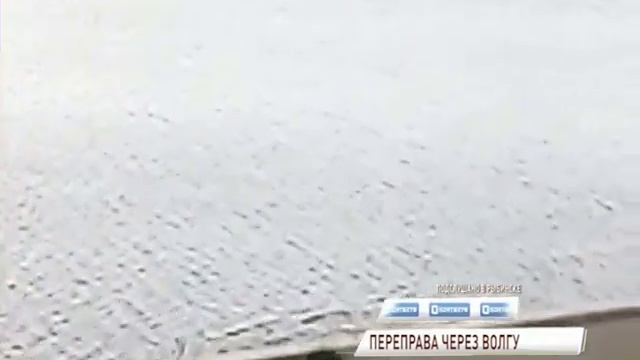 ВИДЕО: в Рыбинске лосиное семейство переплыло Волгу смотреть онлайн