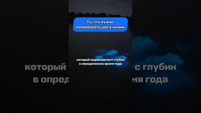 Кто уже видел это волшебство в реальной жизни? 👇 #авиасейлс #aviasales #океан #путешествия