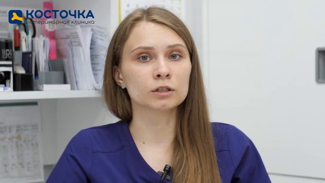 Почему у кошек текут слюни? смотреть онлайн