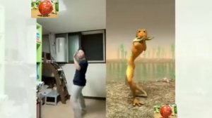 ЛЯГУШКИ И ДЕВУШКИ ТАНЦУЕТ
