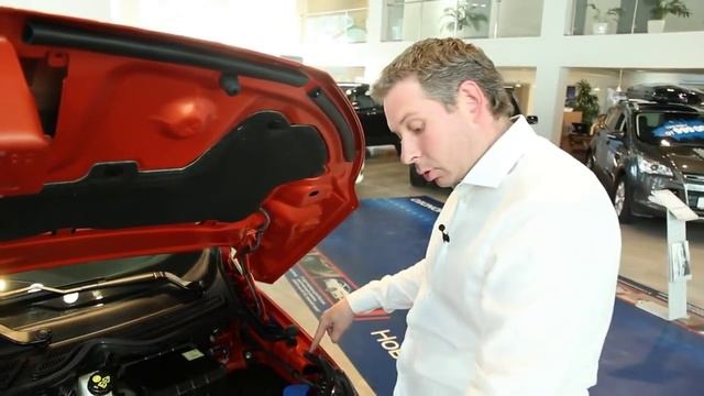 Тест драйв Форд Экоспорт 2015. Видео обзор Ford EcoSport смотреть онлайн