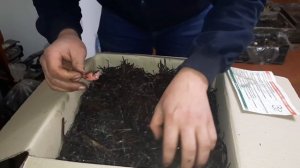 Распаковка комплекта для выращивания шампиньонов. Может кому понравится?