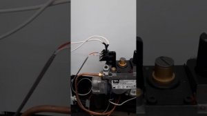 Газовый котел lemax премиум