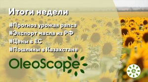 Итоги недели: прогноз урожая рапса и экспорта масла из России, цены в ЕС и пошлины в Казахстане