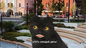 Планы на лето | Кот Бублик