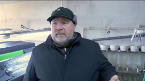 В Томской области будут разводить форелей