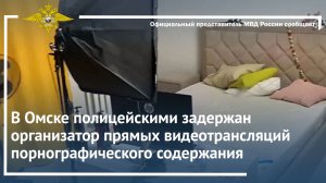 В Омске задержан организатор прямых видеотрансляций порнографического содержания