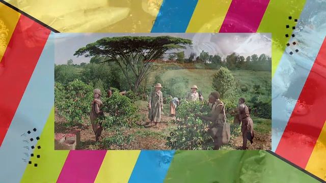 Забавная статистика Чай или кофе HD смотреть онлайн