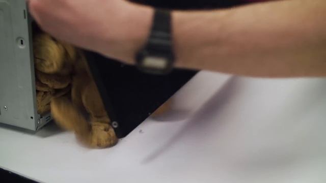 People who know nothing about computers - Clearing Cookies смотреть онлайн