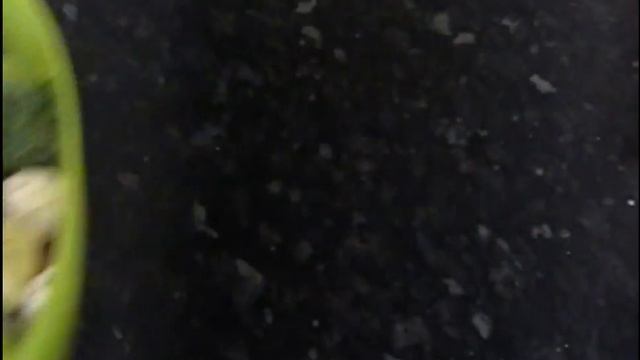 Свинина я на гриле с овощами и картофелем & Треска с овощами запечёнными в духовке и аспарагус смотреть онлайн