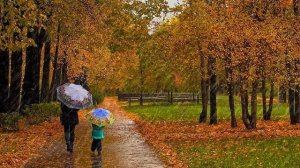 НАРОДНЫЕ ПРИМЕТЫ НА 14 ОКТЯБРЯ