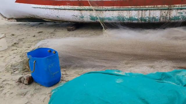 Карантин в Гоа . Обзор рыбного рынка на пляже Ашвем. Будни рыбаков. смотреть онлайн