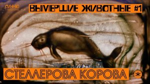 СТЕЛЛЕРОВА КОРОВА. ВЫМЕРШИЕ ЖИВОТНЫЕ. СЕРИЯ ПЕРВАЯ.